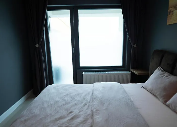 Thome Arena Κλουζ-Ναπόκα